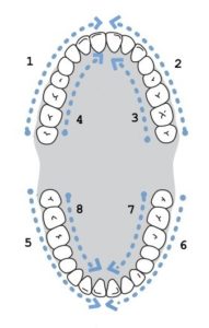 waterpik vs flossing